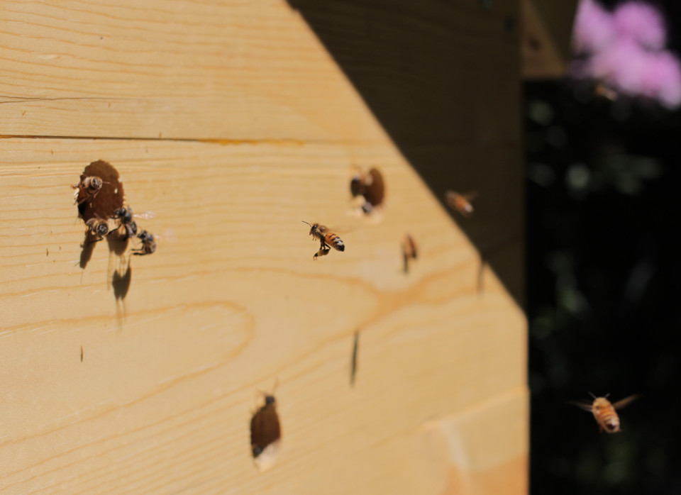 Fig.11 - Tango two-niner requesting permission to land.