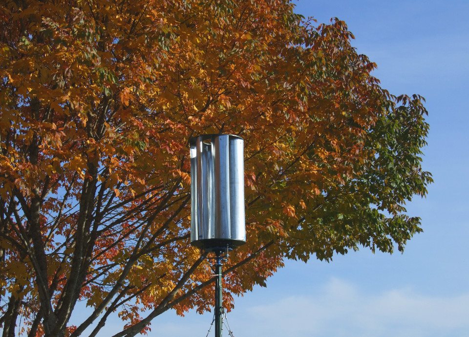 Fig.1 - The Zoetrope framed by autumn colors.